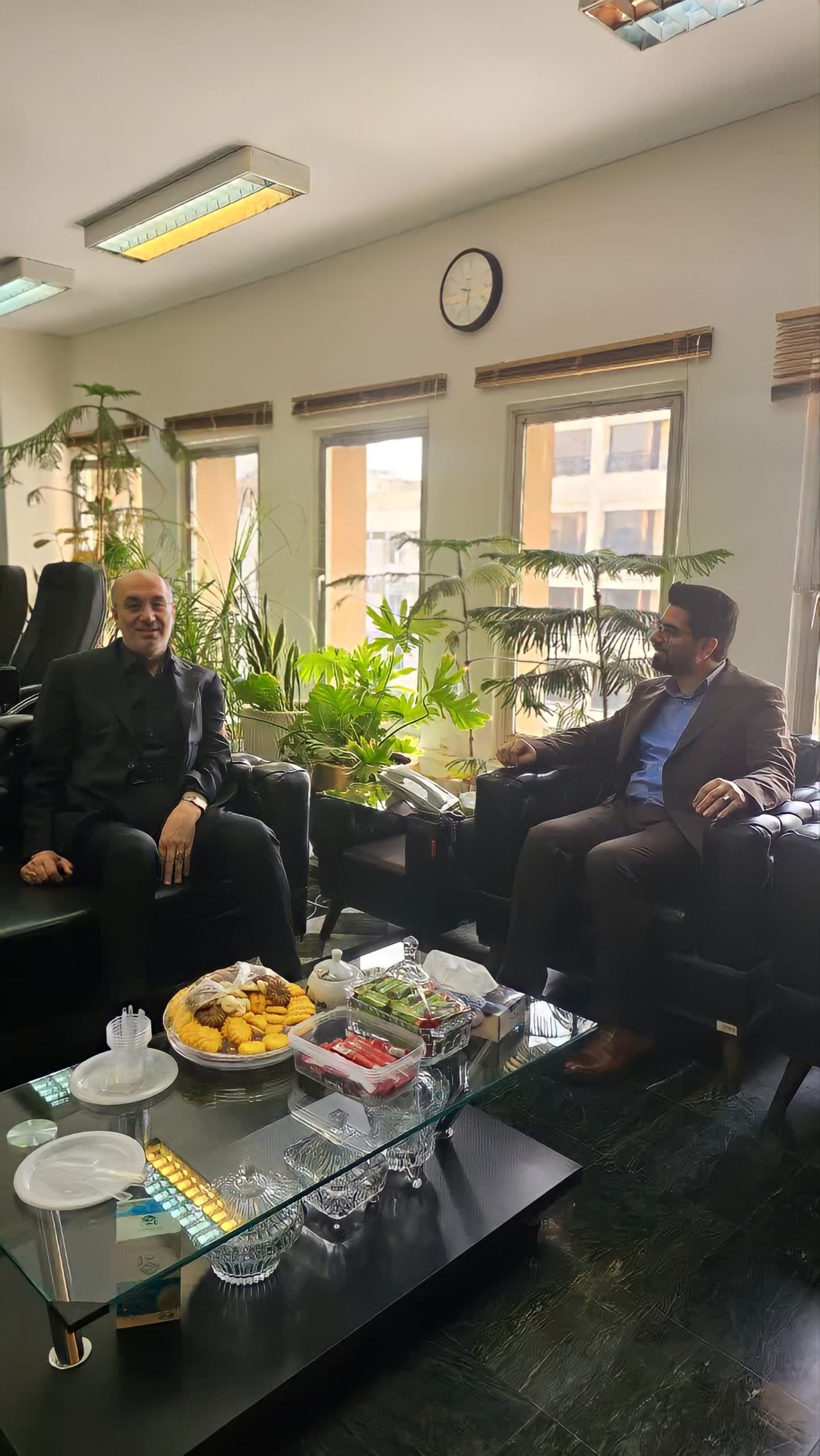 هم‌افزایی سازمان متخصصین و مدیران